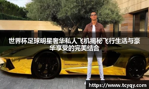 世界杯足球明星奢华私人飞机揭秘飞行生活与豪华享受的完美结合